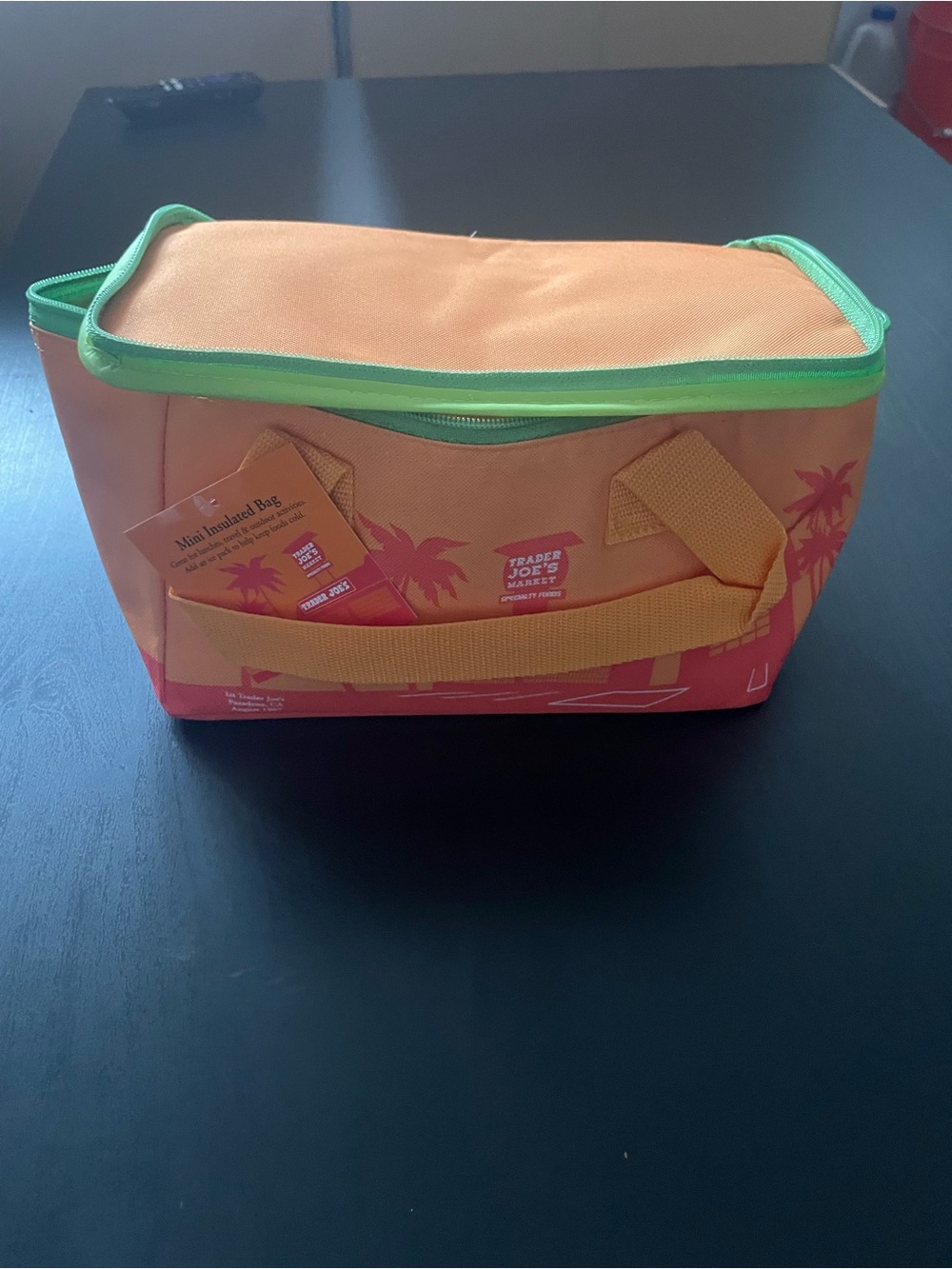 Orange Insulated Lunch Cooler Bag with Green Trim